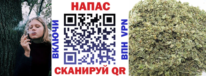 МАРИХУАНА семена как найти закладки Новый Оскол